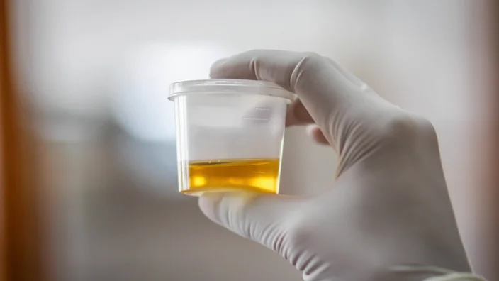 synthetic urine