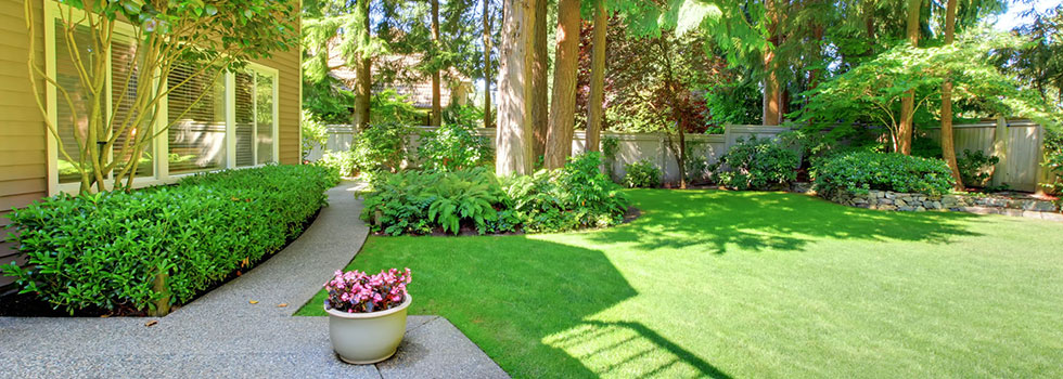 Luxury Landscaping
