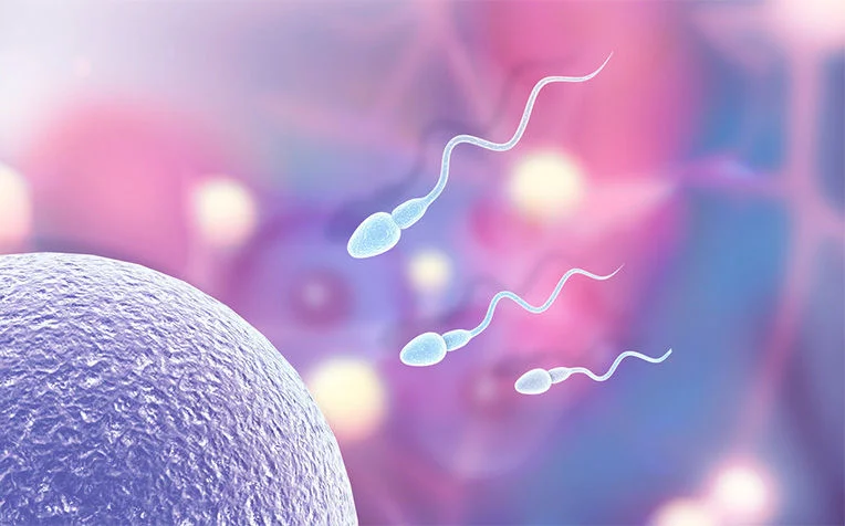 Fertility Treatment